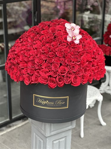 Grand Deluxe Royal Kırmızı Güller Tasarımı